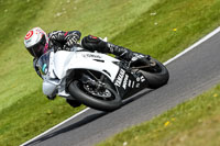 cadwell-no-limits-trackday;cadwell-park;cadwell-park-photographs;cadwell-trackday-photographs;enduro-digital-images;event-digital-images;eventdigitalimages;no-limits-trackdays;peter-wileman-photography;racing-digital-images;trackday-digital-images;trackday-photos